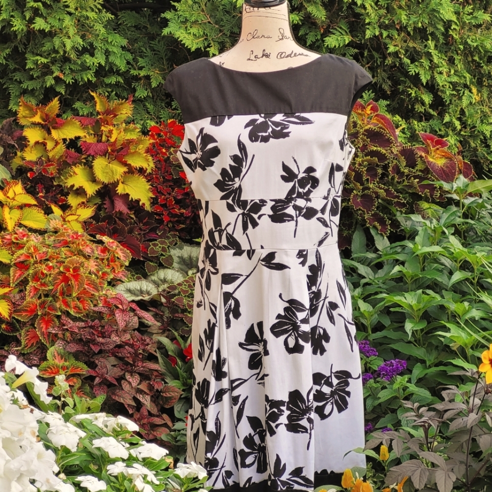 American Living black/white knee length dress